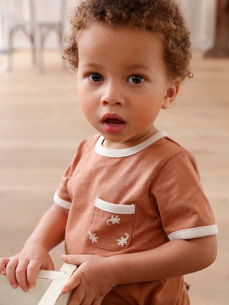 Baby-T-shirt van gevlamd katoen, korte mouwen pecannoot - vertbaudet enfant 