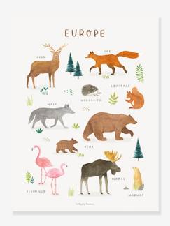 Linnengoed en decoratie-Decoratie-Kader, affiche, fotolijsten-Poster dieren van Europa Lilydale LILIPINSO
