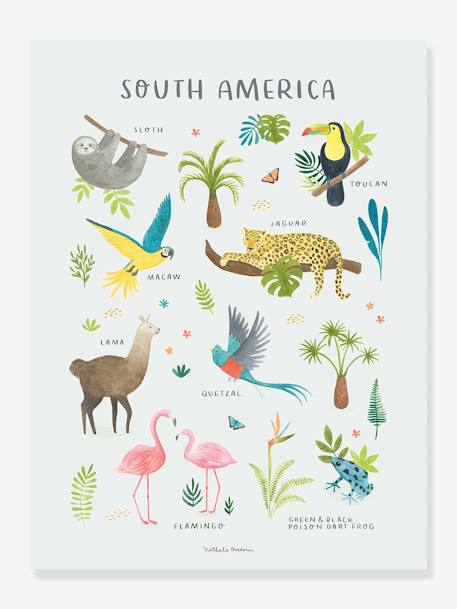 Affiche Animaux d'Amérique du sud Living Earth LILIPINSO
