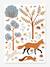 Stickers Renard Joro marron - vertbaudet enfant 