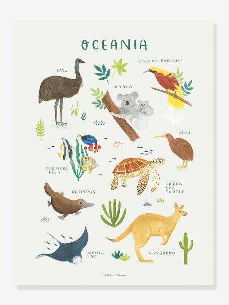 Poster dieren uit Oceani‘ Lilydale LILIPINSO bruin - vertbaudet enfant 
