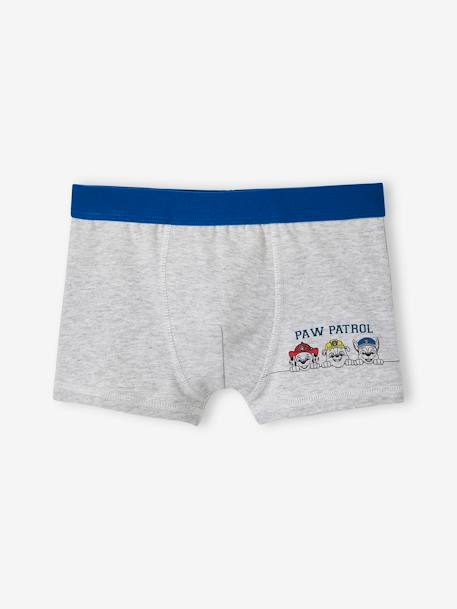 Lot de 3 boxers garçon Pat'Patrouille bleu électrique - vertbaudet enfant 