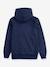 Sweater met capuchon Batwing Screenprint LEVI'S¨ blauw - vertbaudet enfant 