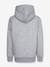 Sweater met capuchon Core CONERSE grijs - vertbaudet enfant 