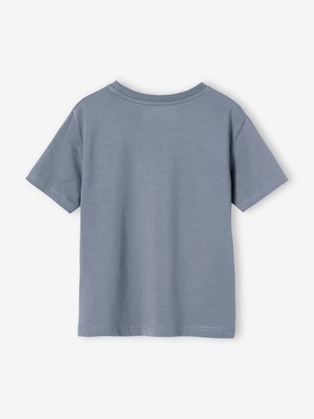 Landschap t-shirt met details in zwelinkt voor jongens jeansblauw - vertbaudet enfant 