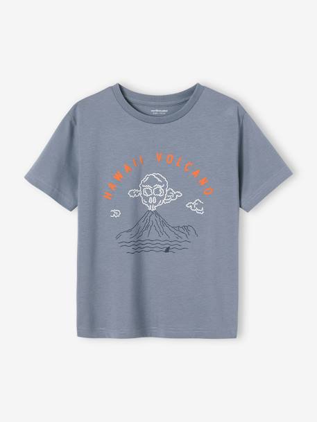 Landschap t-shirt met details in zwelinkt voor jongens ecru+jeansblauw - vertbaudet enfant 
