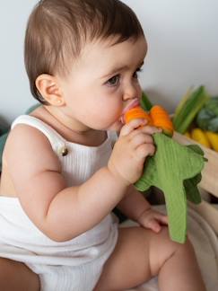 Verzorging-Baby eet en drinkt-Bijtring met fopspeen-Miniknuffel Cathy de Wortel - OLI & CAROL