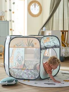 Speelgoed-Buitenspeelgoed-Tent met ballen