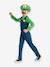 Déguisement Luigi Fancy Dress DISGUISE vert - vertbaudet enfant 