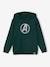 Jongenssweater met capuchon Marvel® Avengers dennen - vertbaudet enfant 