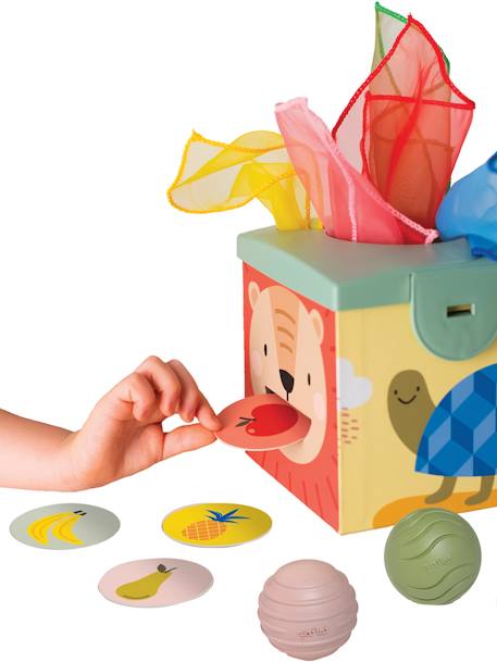 Magic Box - TAF TOYS meerkleurig - vertbaudet enfant 
