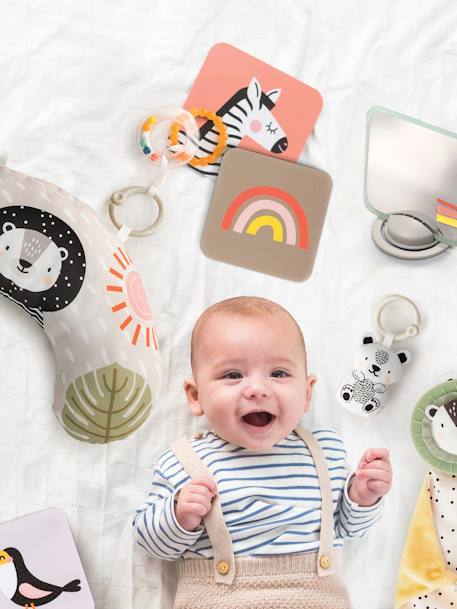 Geschenkset voor pasgeborenen - TAF TOYS meerkleurig - vertbaudet enfant 