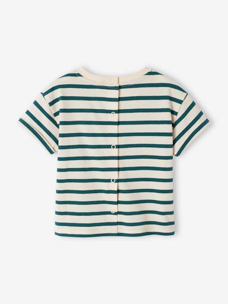 T-shirt bébé capsule famille marin rayé vert - vertbaudet enfant 