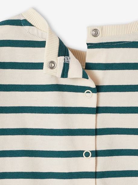 T-shirt bébé capsule famille marin rayé vert - vertbaudet enfant 