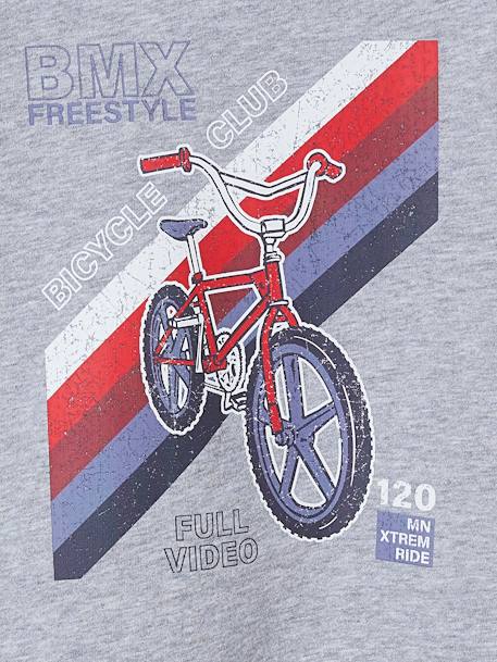 Sweat à capuche motif graphique manches raglan garçon bleu nuit+vert anglais - vertbaudet enfant 