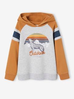 Jongens-Jongenssweater met capuchon, grafisch motief en raglanmouwen