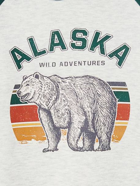 Sweat à capuche motif graphique manches raglan garçon bleu nuit+vert anglais - vertbaudet enfant 