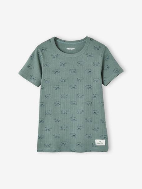 Lot de 3 T-shirts manches courtes ours en maille côtelée garçon vert émeraude - vertbaudet enfant 