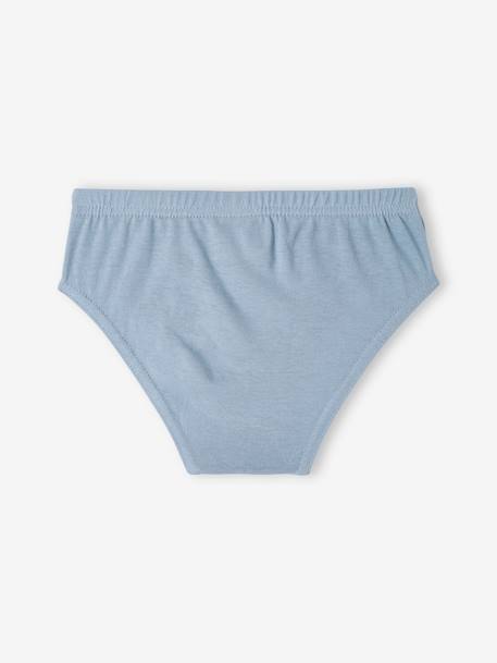 Lot de 3 slips garçon Pat'Patrouille bleu ciel - vertbaudet enfant 