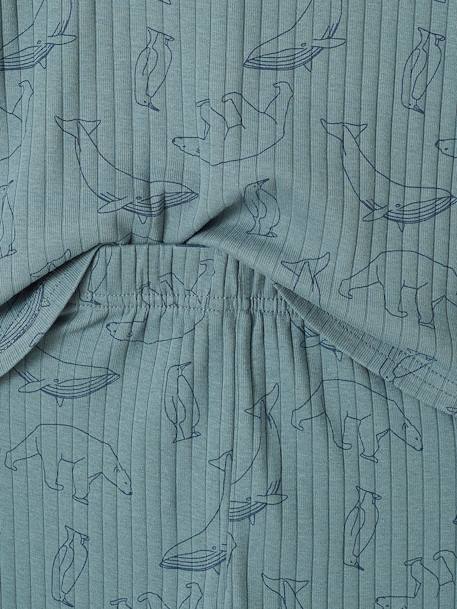 Lot de 2 pyjamas garçon ours maille côtelée vert émeraude - vertbaudet enfant 