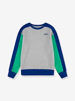 Jongens-Trui, vest, sweater-Sweater-Levi's® colourblock logo sweatshirt