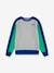 Levi's® colourblock logo sweatshirt gemêleerd grijs - vertbaudet enfant 