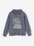Sweat col snood motif bateau pirate garçon effet délavé gris chiné - vertbaudet enfant 