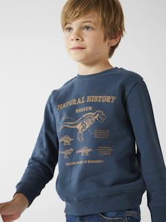 Jongenssweater Basics met grafische motieven  - vertbaudet enfant