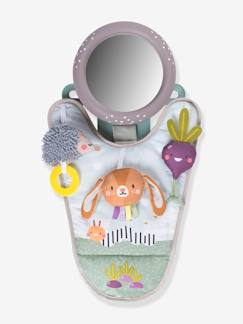 Jouet-Premier âge-Jouet de Voiture Jardin -