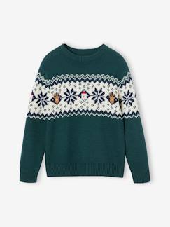 Jongens-Trui, vest, sweater-Kersttrui in jacquard voor kinderen, capsule familiecollectie