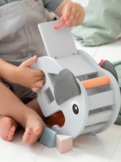 Jouet-Premier âge-Boîte à formes Elphee -