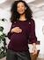 Zwangerschap en borstvoedingstrui Romain ENVIE DE FRAISE aubergine+zwart - vertbaudet enfant 