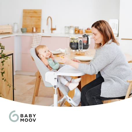 Multifunctionele keukenrobot Nutribaby + van BABYMOOV beige+Donkergrijs - vertbaudet enfant 
