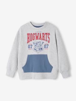 Jongens-Trui, vest, sweater-Sweater-Jongenssweater Harry Potter®