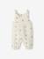 Boxpakje baby van geborduurd katoengaas beige+ecru+lindegroen - vertbaudet enfant 