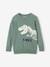 Pull ludique dinosaure Garçon vert sauge - vertbaudet enfant 