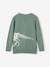 Pull ludique dinosaure Garçon vert sauge - vertbaudet enfant 