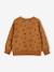 Sweat motifs requins garçon caramel - vertbaudet enfant 