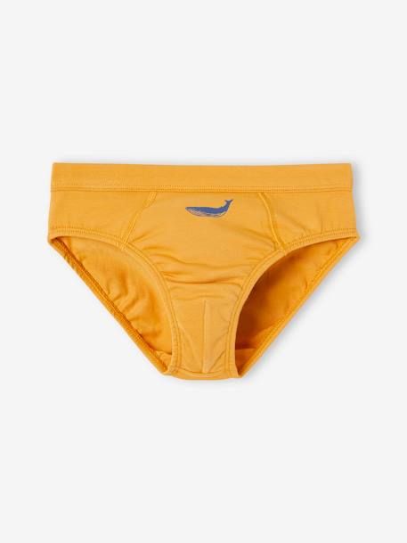 Set met 7 stretch jongensslips walvissen van biokatoen hemelsblauw - vertbaudet enfant 