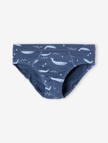 Lot de 7 slips stretch baleines garçon en coton bio bleu ciel - vertbaudet enfant 