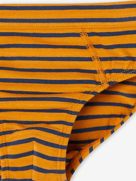 Set met 7 stretch jongensslips walvissen van biokatoen hemelsblauw - vertbaudet enfant 