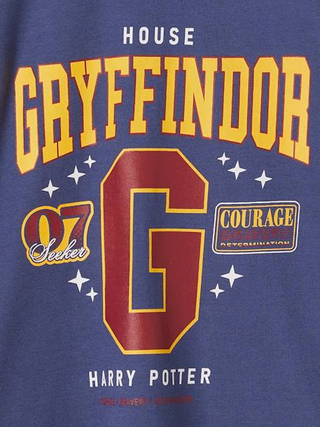 Tee-shirt garçon Harry Potter bleu ardoise - vertbaudet enfant 