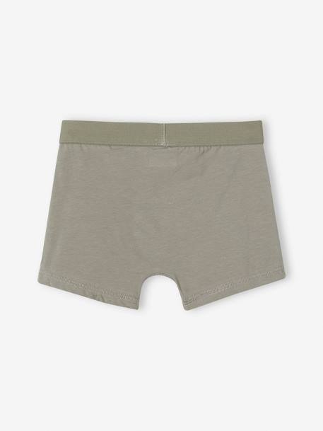 Set van 3 Disney® The Lion King boxershorts kaki - vertbaudet enfant 