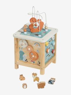 Speelgoed-Eerste levensjaren-Eerste speelgoed-Grote houten activiteitenkubus