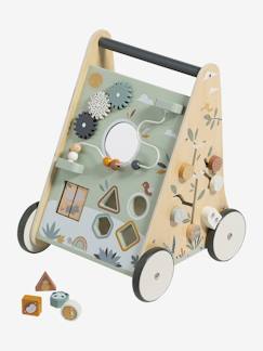 Speelgoed-Loopwagen met houten remmen