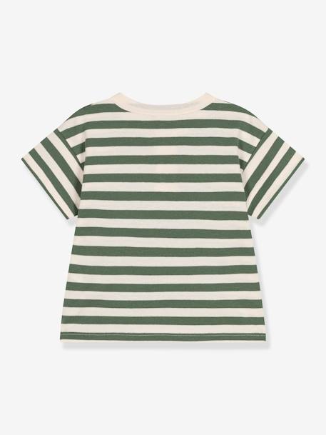 T-shirt rayé en jersey garçon PETIT BATEAU rayé vert - vertbaudet enfant 