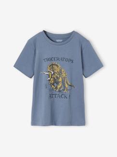 Jongens-T-shirt, poloshirt, souspull-T-shirt-Jongensshirt met dinomotief