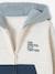 Sportieve sweater met rits en capuchon, colourblock jongens blauwgroen - vertbaudet enfant 