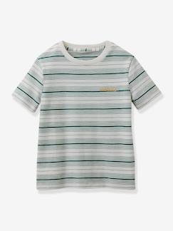 Garçon-T-shirt, polo, sous-pull-Polo-Tee-shirt garçon rayé - coton bio