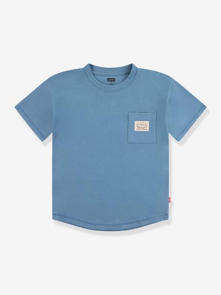 T-shirt poche garçon Levi's® bleu grisé+lavande - vertbaudet enfant 